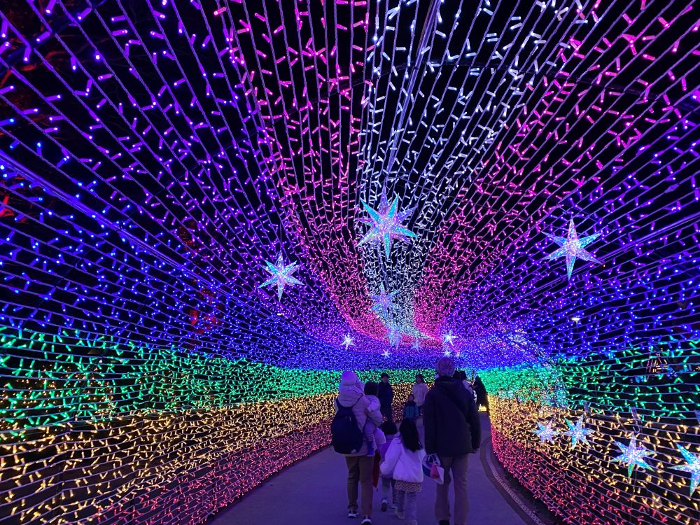 ～TOKIWAファンタジア2025～　　山口産業グループ×宇部市 presents 