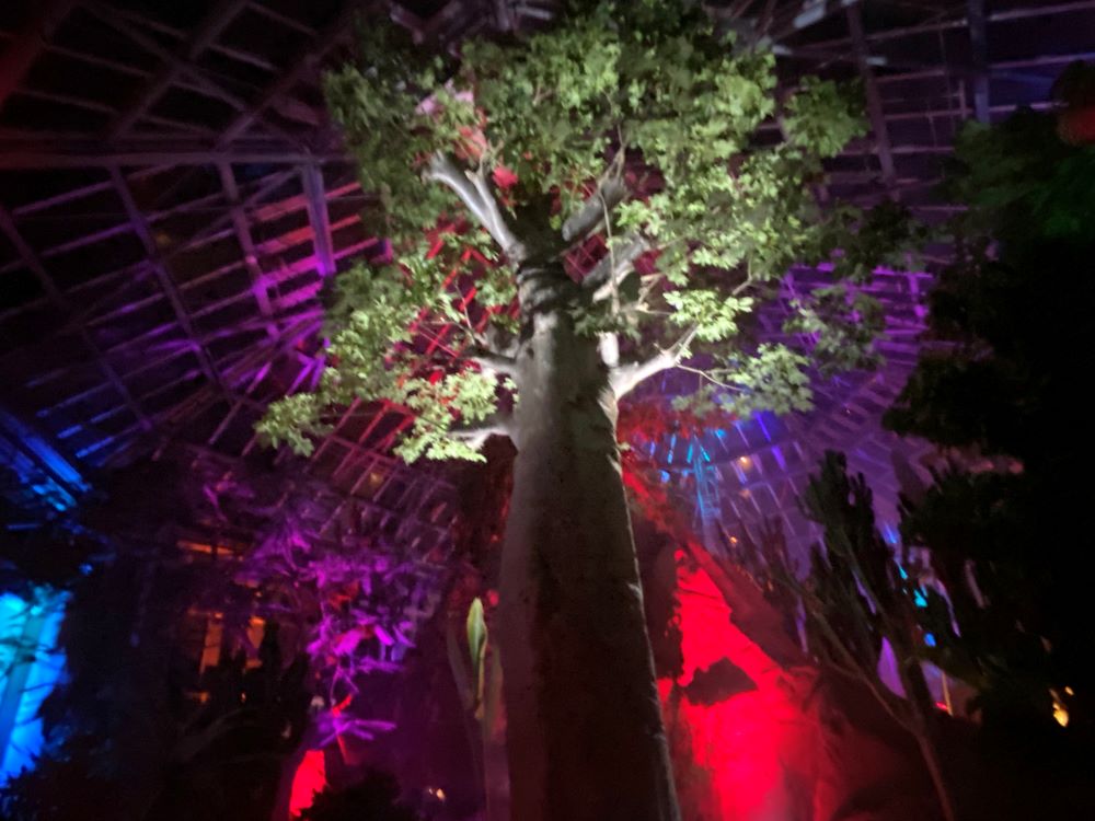 世界を旅する植物館「ナイトミュージアム」