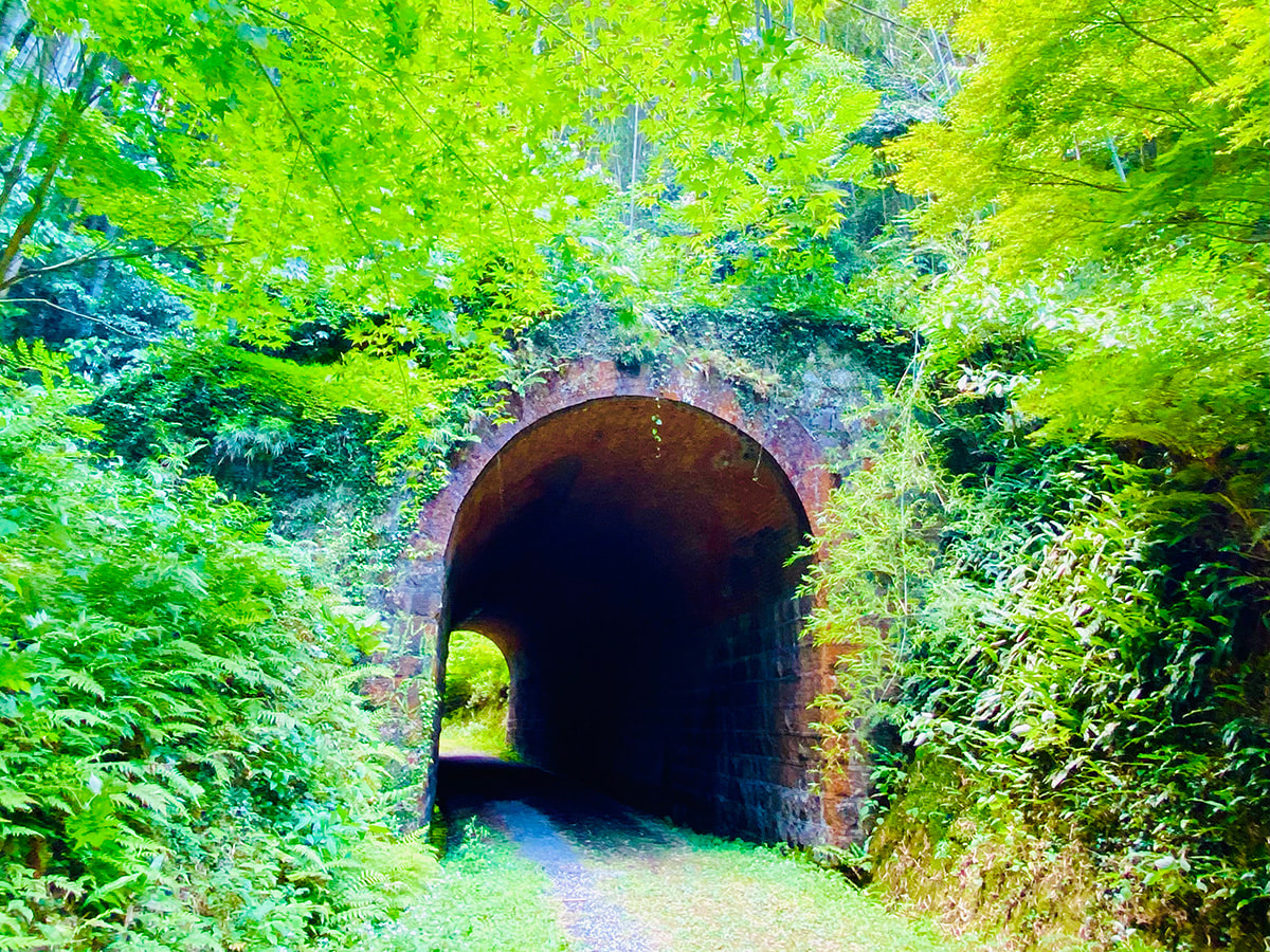 大棚トンネル