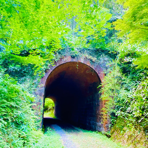 大棚トンネル