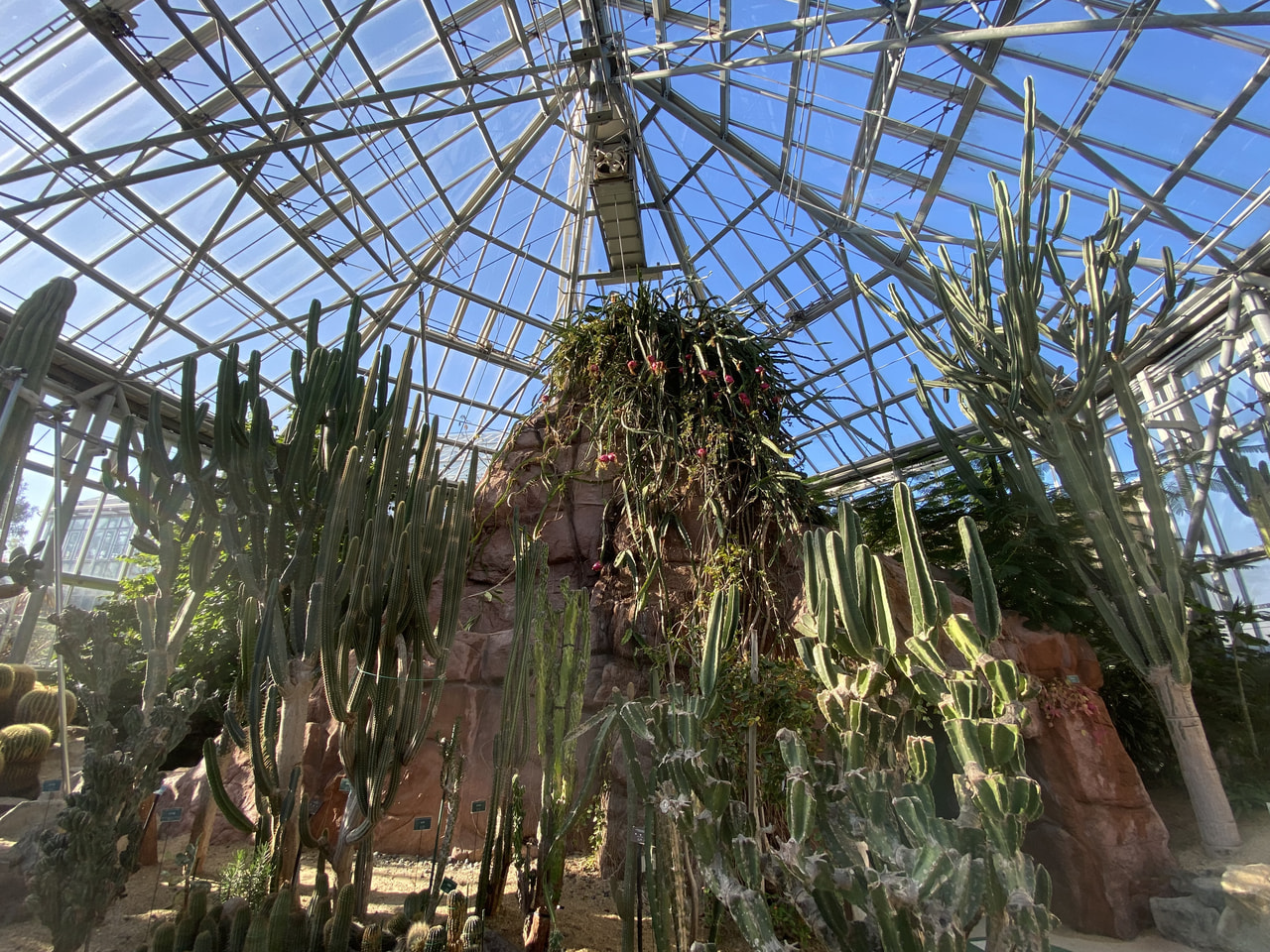 ときわミュージアム世界を旅する植物館（ときわ公園）｜観る・遊ぶ｜一般社団法人宇部観光コンベンション協会公式サイト「うべ旅ナビ」