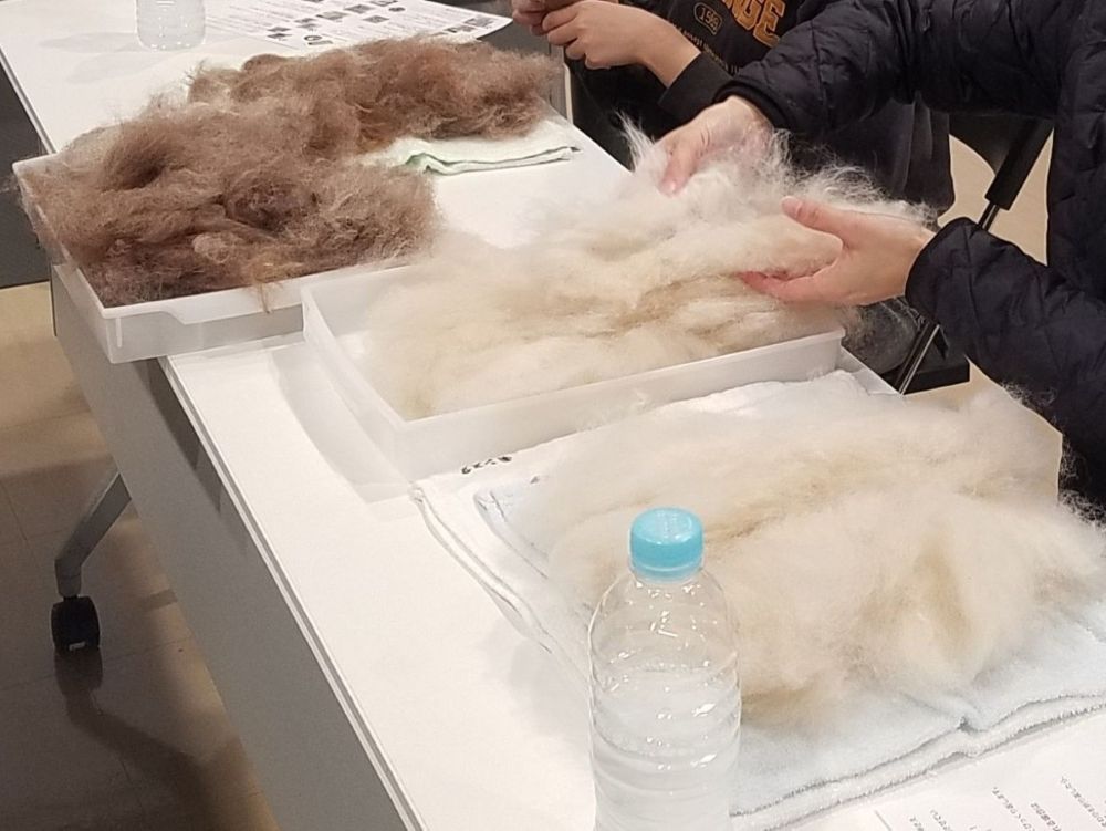 多々良園長とめぐる「ときわ動物園」